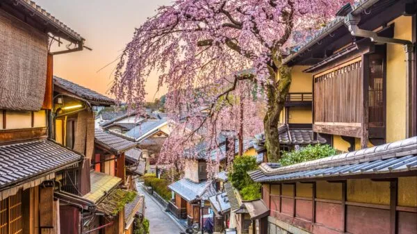 Straatje met huizen en kersenbloesem in Kyoto, Japan
