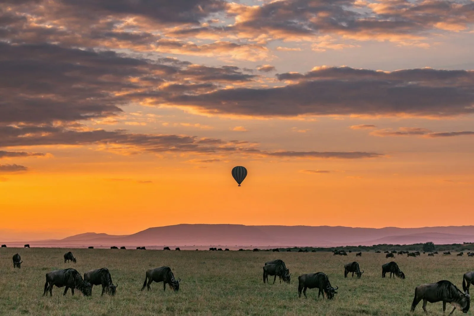 Tanzania Serengeti Ballonvaart In De Verte Zonsondergang