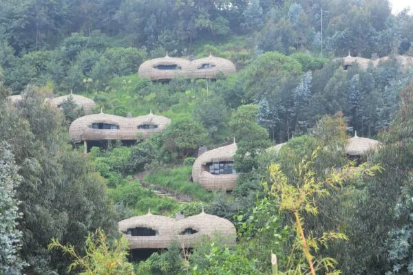 Rwanda bisate logde