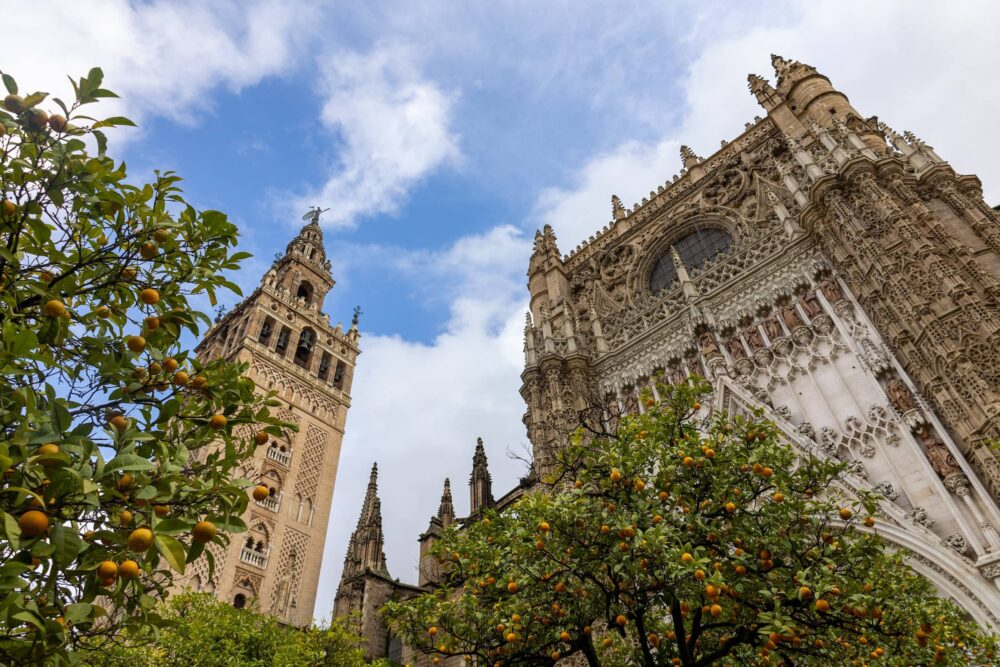 sevilla-kerk-sinaasappelbomen