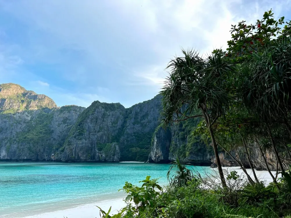 Thailand Krabi Strand Door Bomen