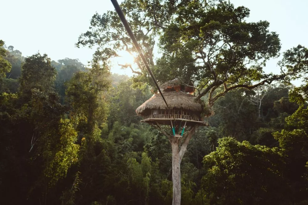 Gibbon Experience in Laos