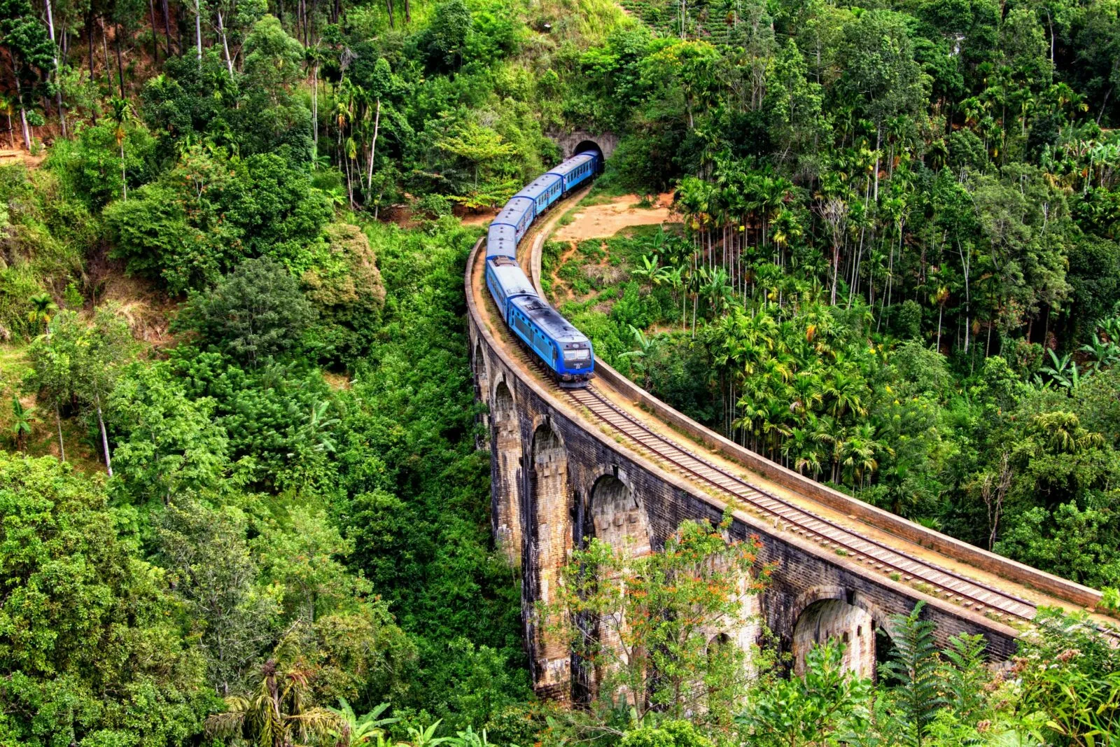 Sri Lanka ella trein groen jungle spoor brug