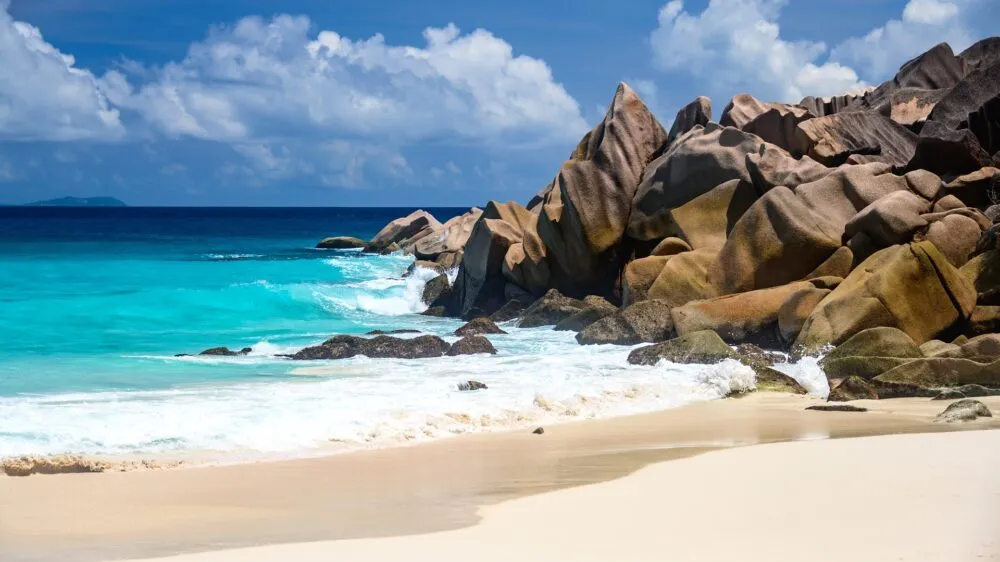Zee in Seychelles