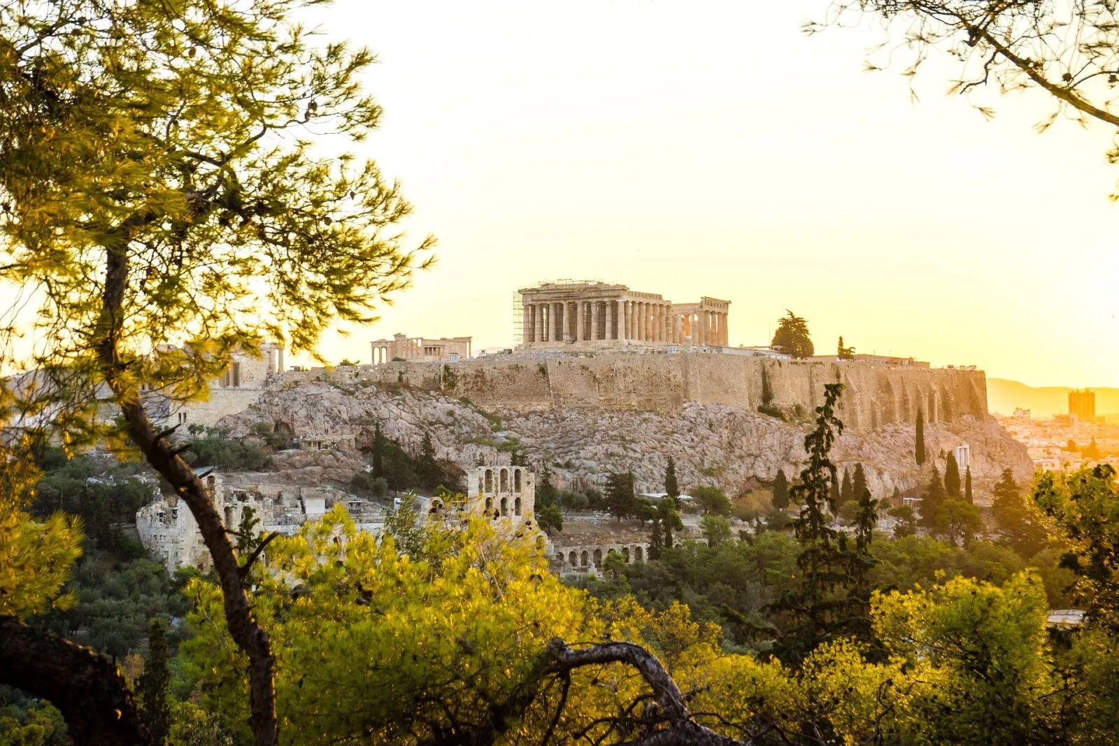 Athene Akropolis Bomen Ervoor