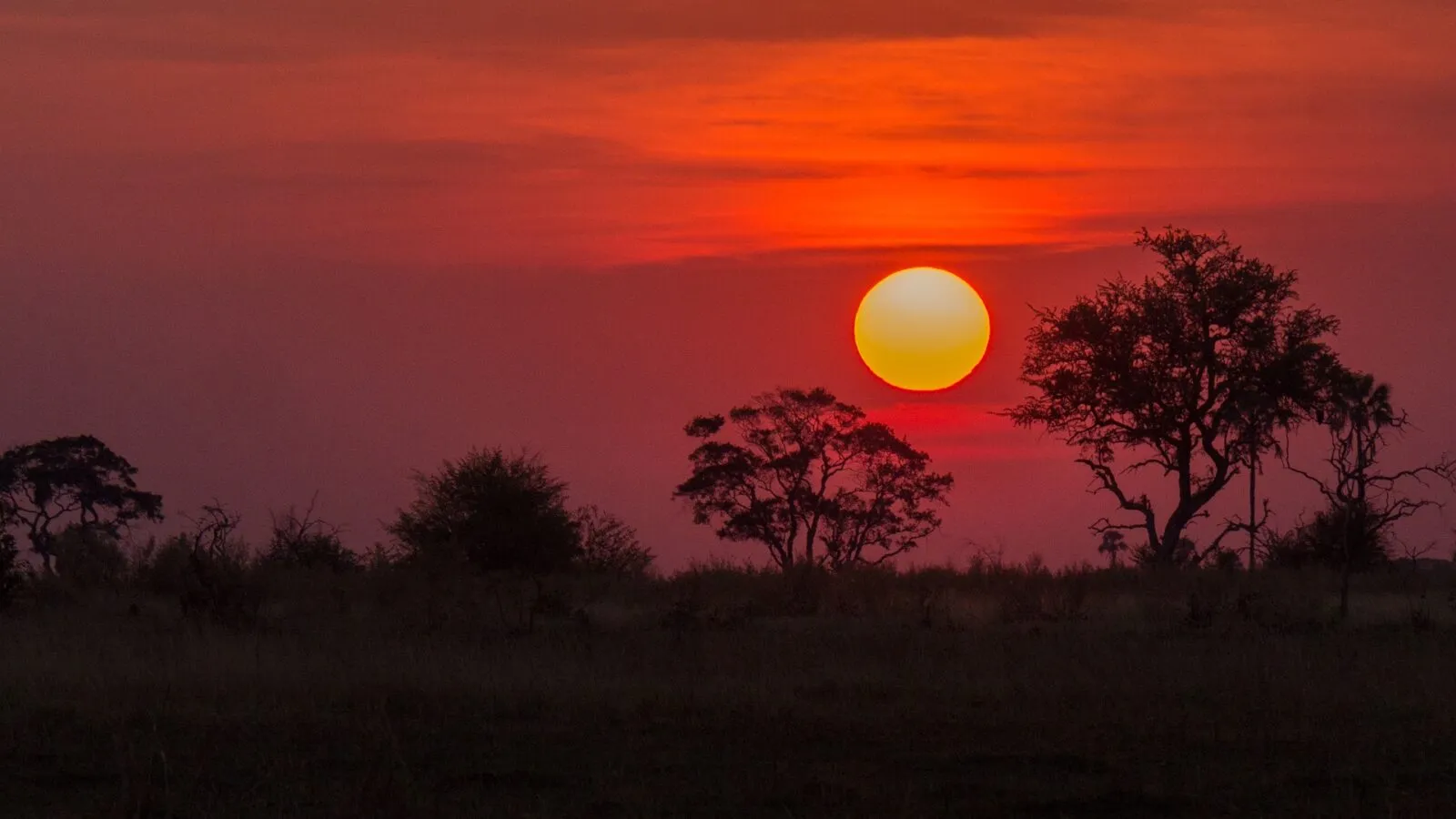 Botswana zonsondergang