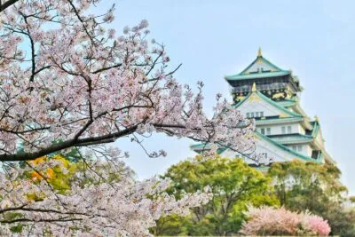 Osaka Castle met kersenbloesem, Japan