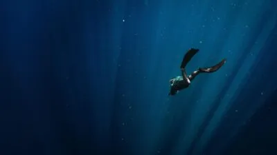 Duiken in de zee