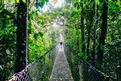 Man op brug in jungle in Costa Rica