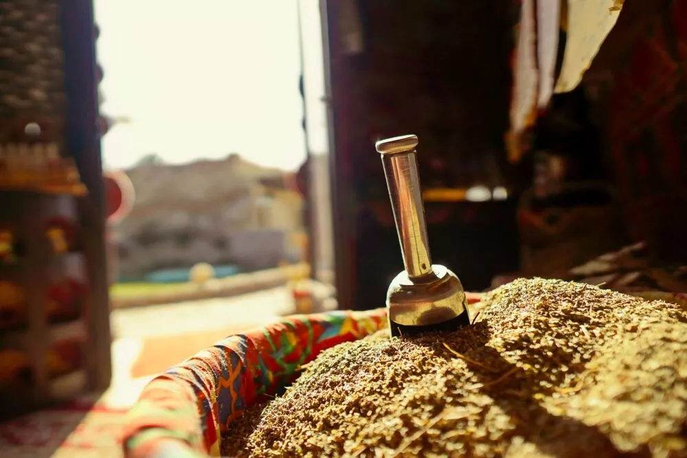 Kruiden in Egypte
