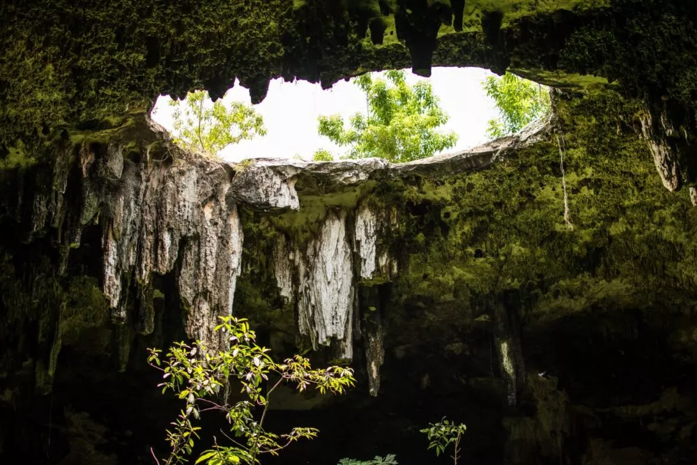 Gat in cenotes