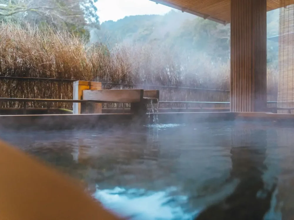Onsen in Hakone