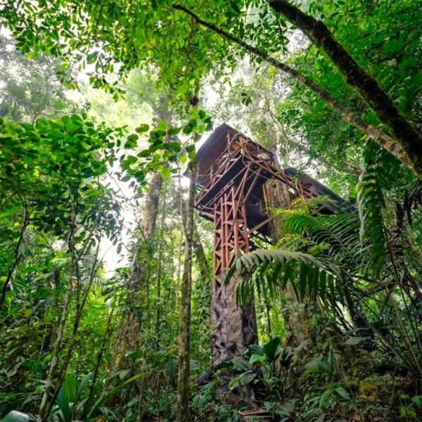 Boomhut in de jungles van Costa Rica.
