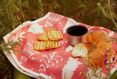 picknicken