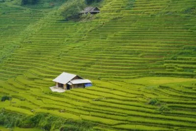 sapa met huis tussen de velden
