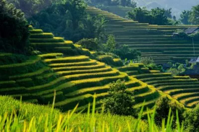 sapa in vietnam