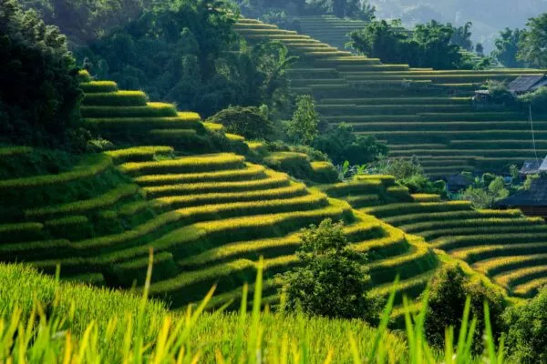 sapa in vietnam