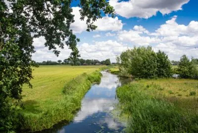 Weilanden in Nederland