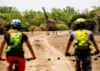 Fietssafari in Botswana.