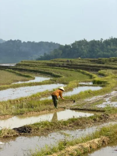 Vietnamees in een rijstveld in Pu Luong, Vietnam.