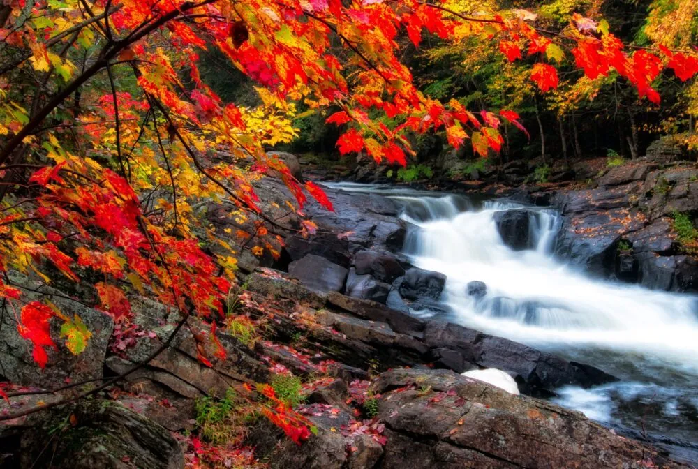 Odaesan National Park in Zuid-Korea.