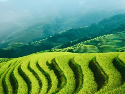 Rijstterassen in Longsheng, China